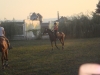 rider-306