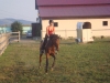 rider-309
